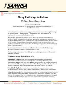 HO1 _NPN_Tribal.Best Practices.Overview