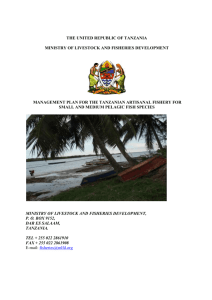 Tanzania_APFM Plan Final Document[3]