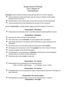 Photosynthesis :Chloroplasts