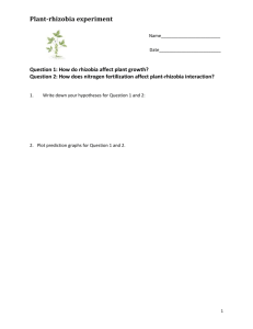 Student Worksheet on plant-rhizobia mutualism