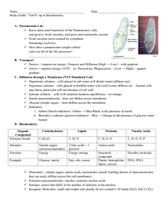 Study Guide Biochemistry - Manhasset Public Schools