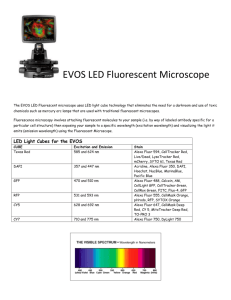 EVOS FL Microscope