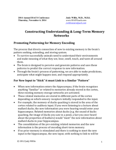 Constructing Understanding & Long-Term Memory Networks