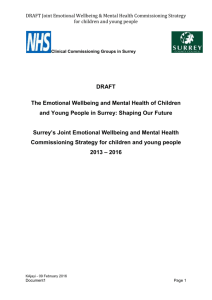 DRAFT Joint Emotional Wellbeing & Mental Health Commissioning