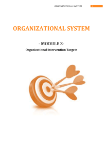 Organizational Intervention Targets