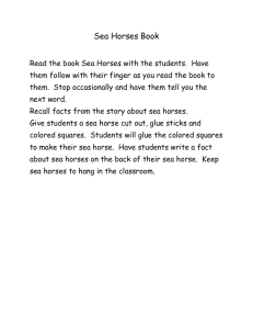 Sea Horse Book - Volusia County Schools