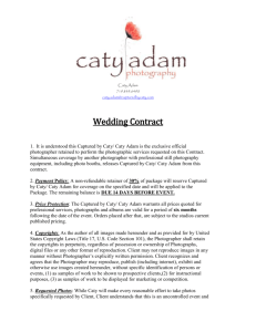 Wedding Contract