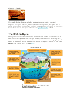 Carbon Cycle Article - Highline Public Schools