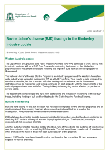 (BJD) tracings in the Kimberley industry update