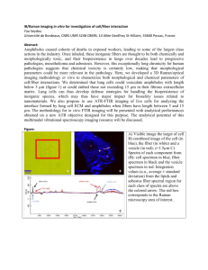IR/Raman imaging in vitro