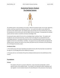 Anatomical System Analysis-The Skeletal System