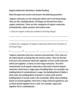 Organic Molecules Worksheet: Review