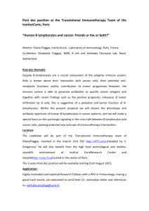 Post doc position at the Translational Immunotherapy Team of the