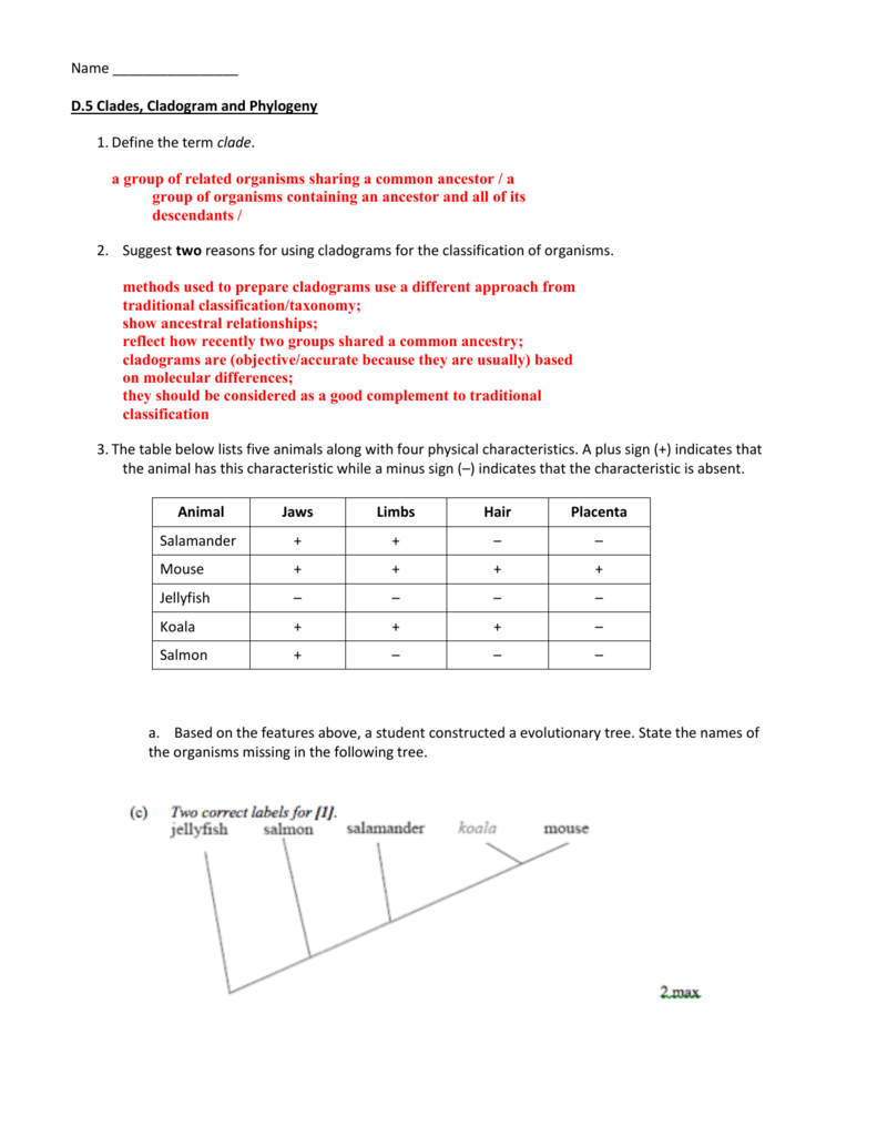 Phylogenetic Tree Worksheet Sustainablefed