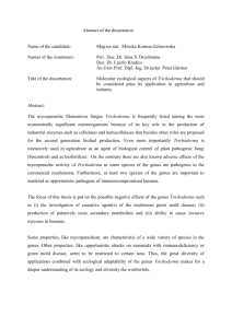 Abstract of the dissertation Name of the candidate: Mag.rer.nat