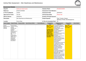 Activity Risk Assessment (Actions) Report