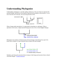 06_Reading - Understanding Phylogenies