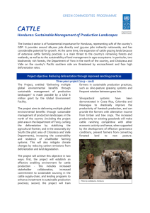 Cattle Honduras factsheet_final2