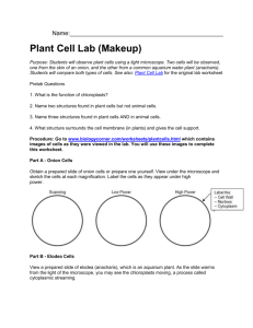 Plant cell virtual lab