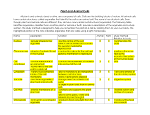Plant and Animal Cells Note