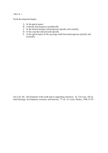 Released EVDC Eq Exam Example Questions Orthodontics 7