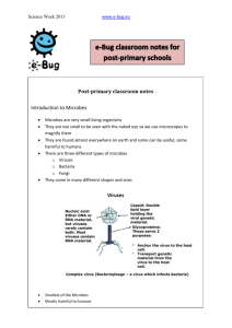eBug post-primary microbes class notes