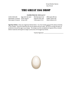 The Great Egg Drop - Blank Worksheet