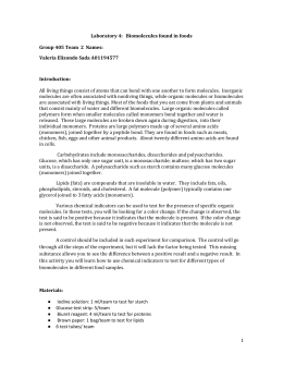 lab report carbohydrates proteins lipids Essay about identification of macromolecules- lab report the most common macromolecules found in living organisms are lipids, carbohydrates, proteins and nucleic . lab report carbohydrates proteins lipids Essay about identification of macromolecules- lab report the most common macromolecules found in living organisms are lipids, carbohydrates, proteins and nucleic .