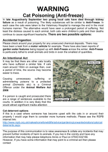 Warning leaflet - Acle Parish Council