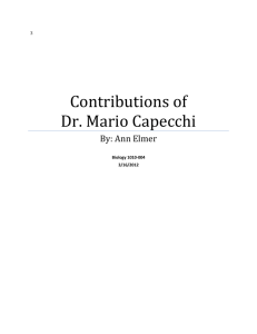 Mario Capecchi Report