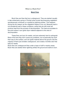 Muck fires are fires that burn underground. They are started (usually