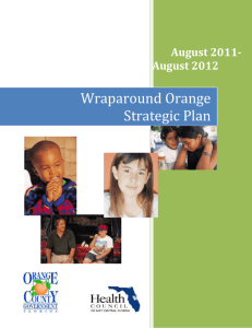 Organization of the Strategic Plan