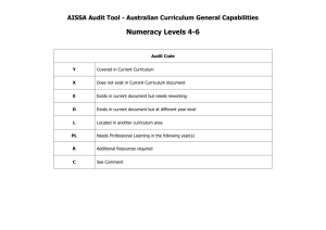 Numeracy Audit Levels 4-6