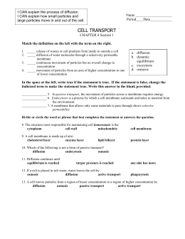 Cell Transport Review Answers