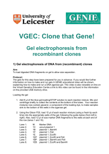 VGEC: Clone that Gene!
