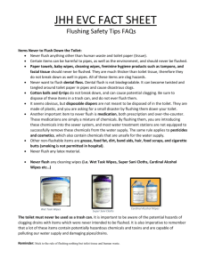 Flushing Safety FAQs Fact Sheet