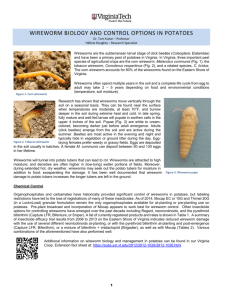 2015 Wireworm Control Options in Potatoes
