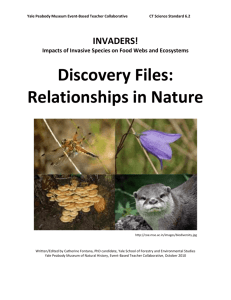 Discovery Files - Yale Peabody Museum of Natural History