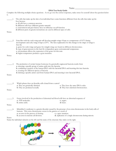 DNA Study Guide CP2015