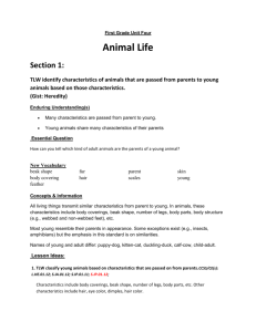 First Grade Unit Four - Animal Life