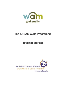 Applying to the AHEAD WAM Programme
