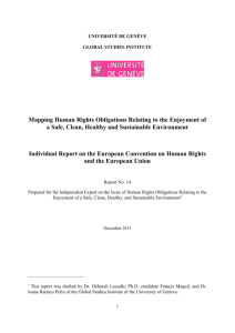 Report on European perspectives on the issue of human rights