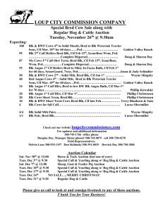 LOUP CITY COMMISSION COMPANY Special Bred Cow Sale along