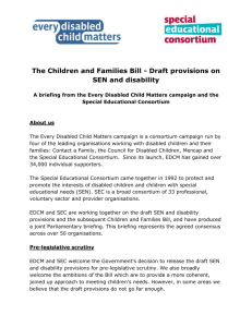 Draft provisions on SEN and disability