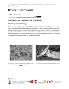 bovine_tuberculosis_4_diagnosis