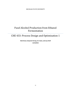 Fusel Alcohol Production from Ethanol Fermentation