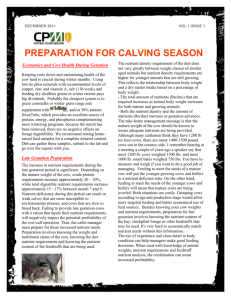 preparation for calving season