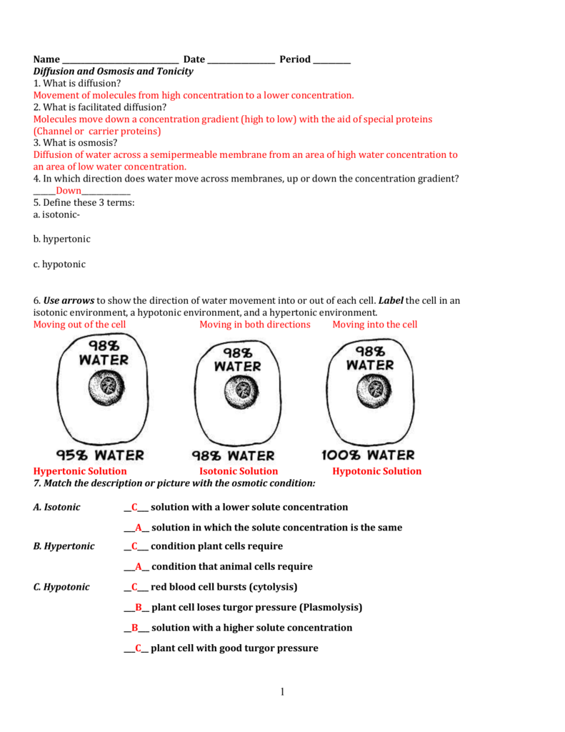 cell membrane and tonicity worksheet Intended For Cell Membrane And Tonicity Worksheet