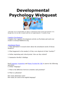 Developmental Psychology Webquest