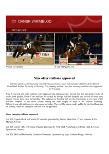 20140306 Nine older stallions approved